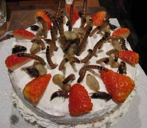 Insect cake